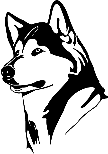 Washington Huskies 1995-2000 Partial Logo diy fabric transfer